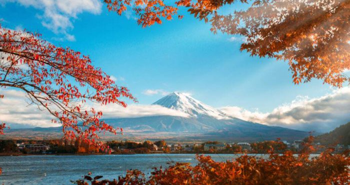 Colorful Autumn in Mount Fuji, Japan - Lake Kawaguchiko is one of the best places in Japan to enjoy Mount Fuji scenery of maple leaves changing color giving image of those leaves framing Mount Fuji.